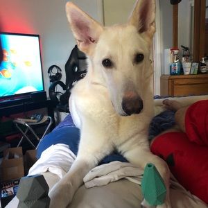 Meet your Posher, Jason